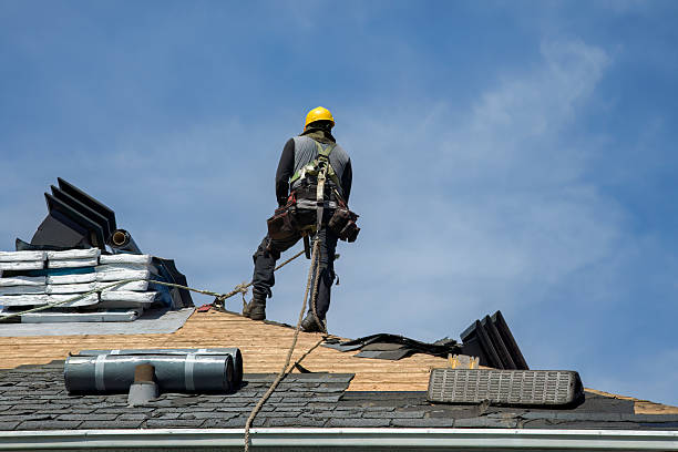 Professional Roofing technician working in Rising City, NE